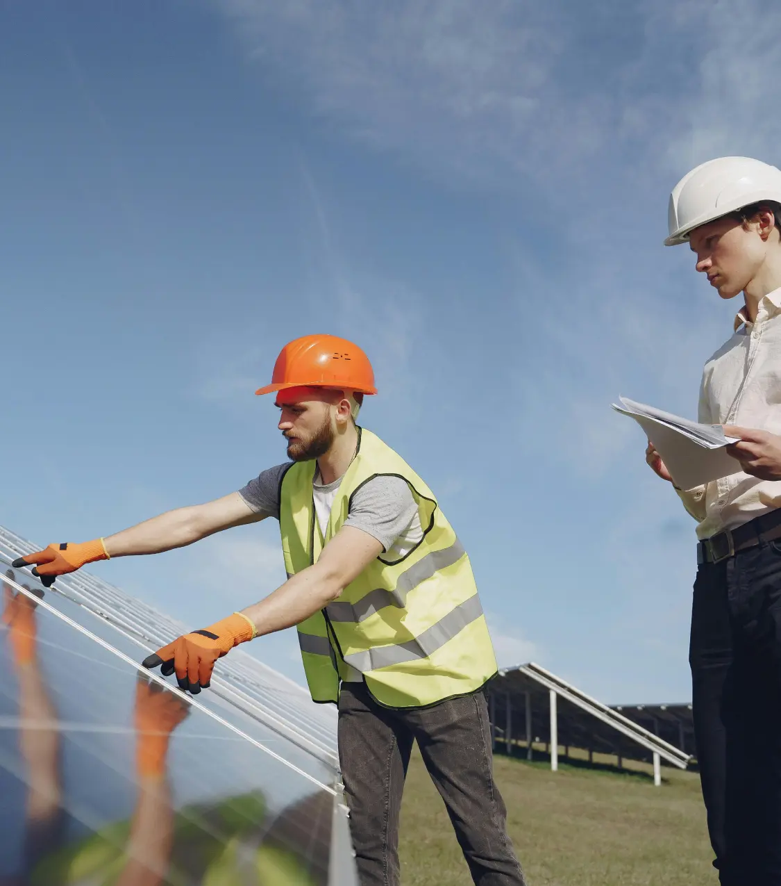 Basegrove's carbon and energy estimators