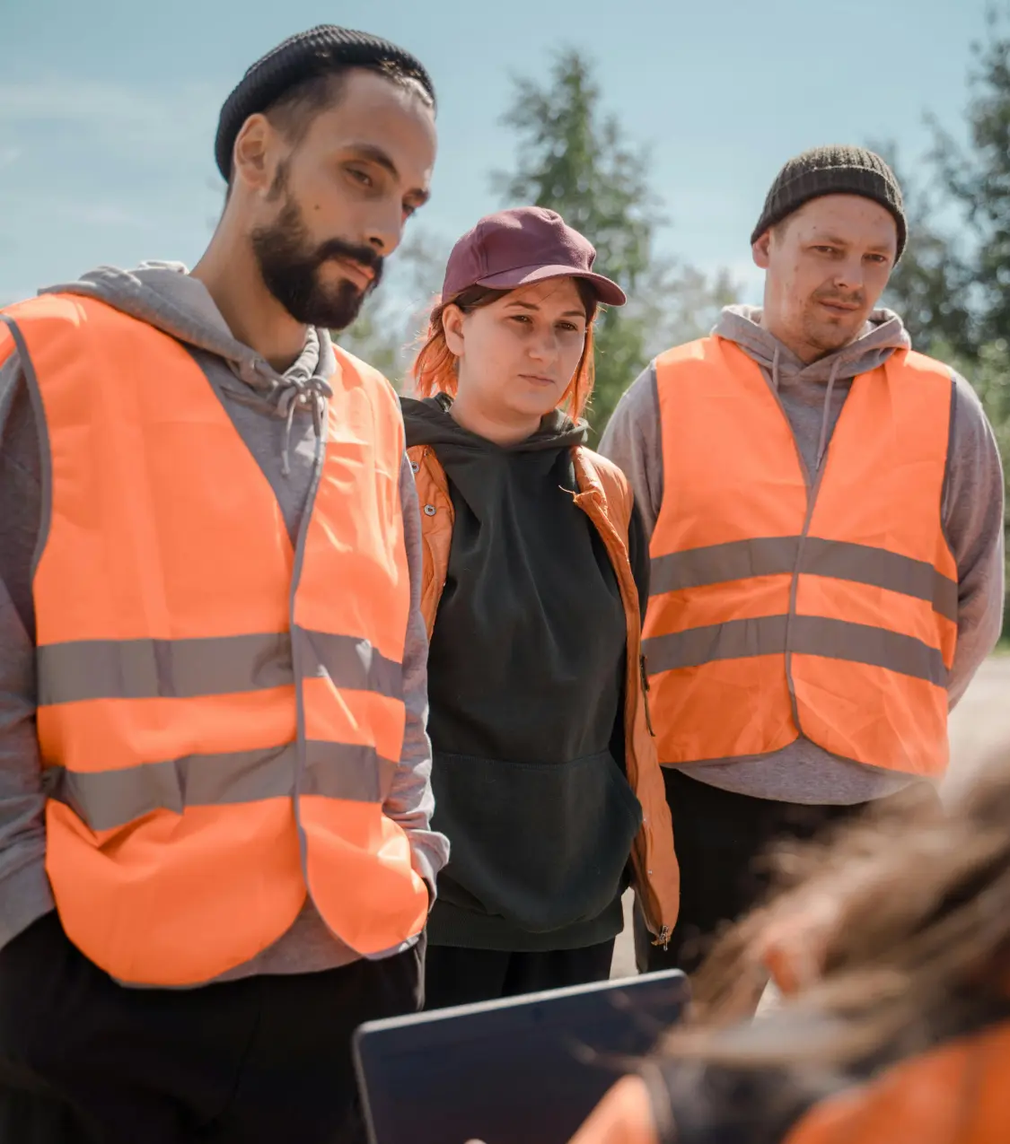 Basegrove's team collaboration tools